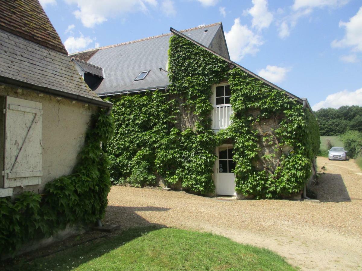 Chambres D'Hotes La Ferme Du Grand Launay Semblancay Ngoại thất bức ảnh